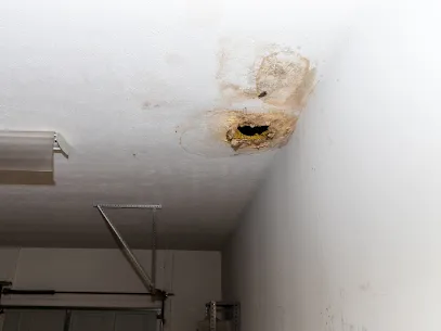 Renagade Water Damage Express Picture 4