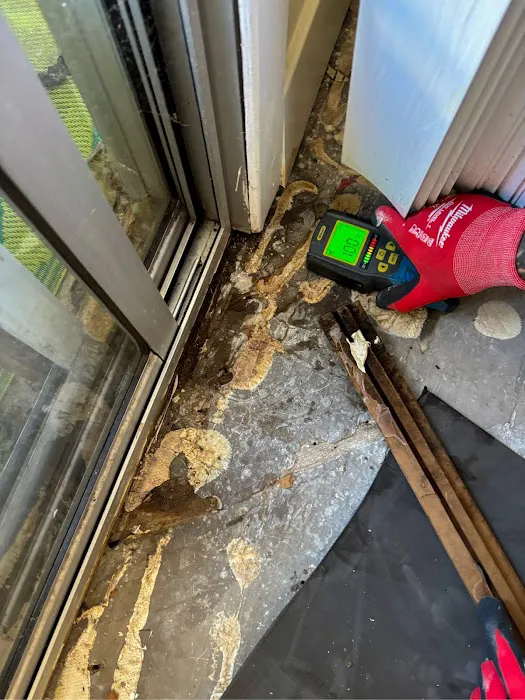 Mold Zero Services Picture 5