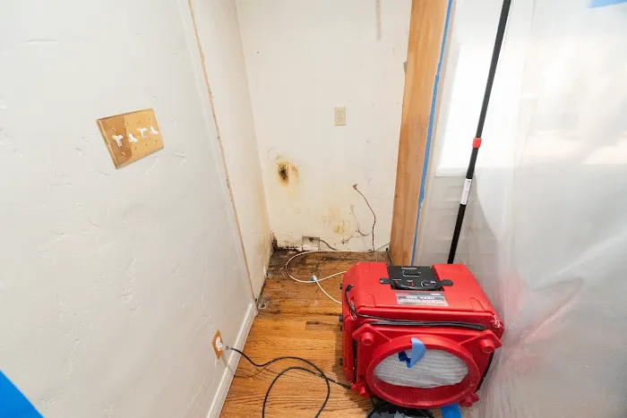 Mold Zero Services Picture 8