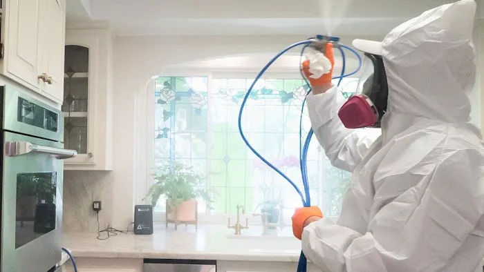 Mold Zero Services Picture 1