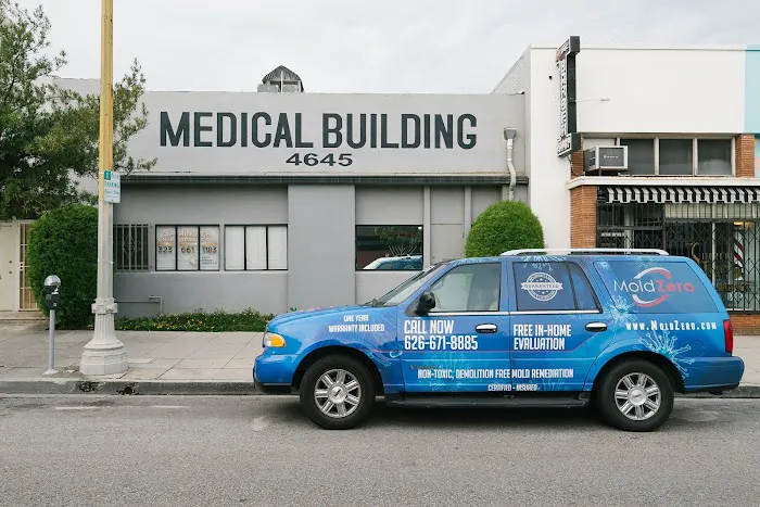 Mold Zero Services Picture 10