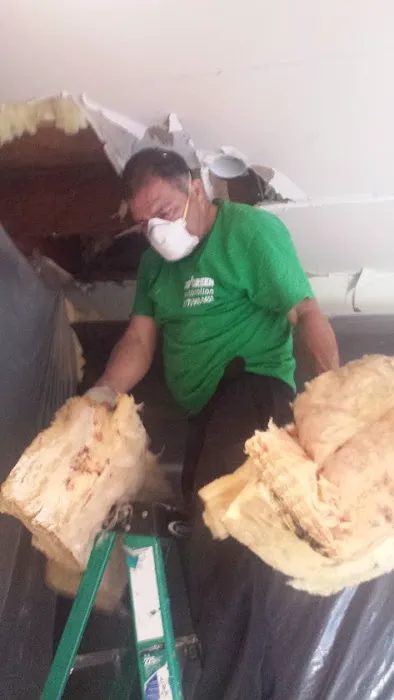 Go Green Restoration Pasadena Picture 3