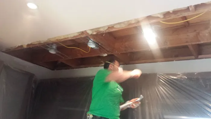 Go Green Restoration Pasadena Picture 1