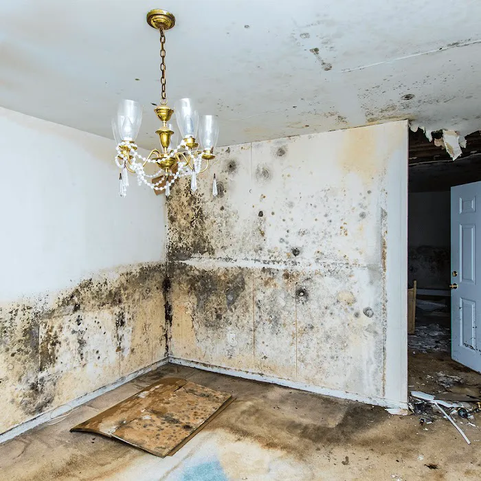 Rainbow Restoration of Pasadena Picture 10