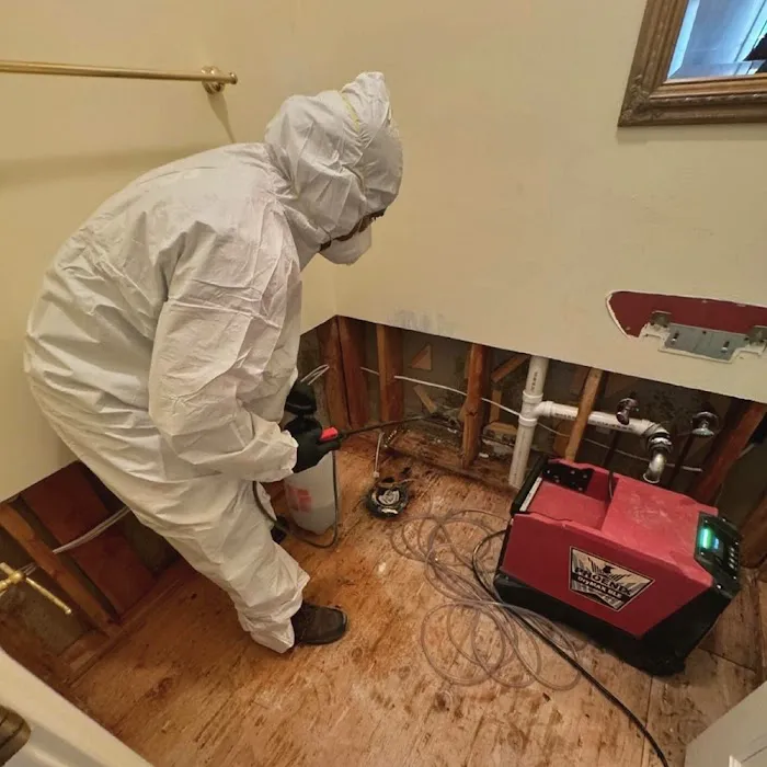 AAA Water Damage Restoration Los Angeles Picture 2