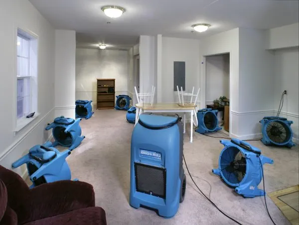 Ursa pro Restoration Picture 10