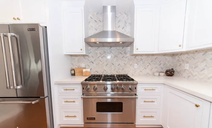 Ursa pro Restoration Picture 8