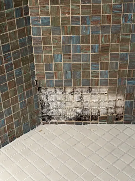 Ursa pro Restoration Picture 6