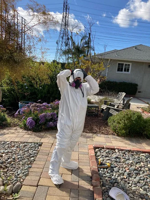 Rapid Response Restoration of Beverly Hills Picture 5