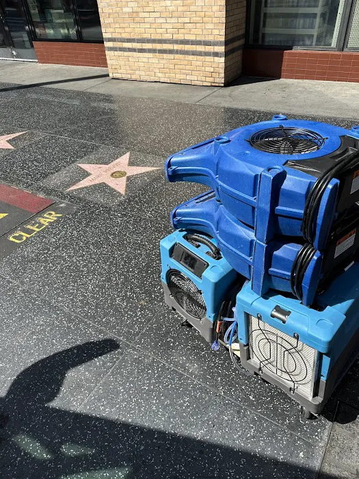 Rapid Response Restoration of Beverly Hills Picture 2