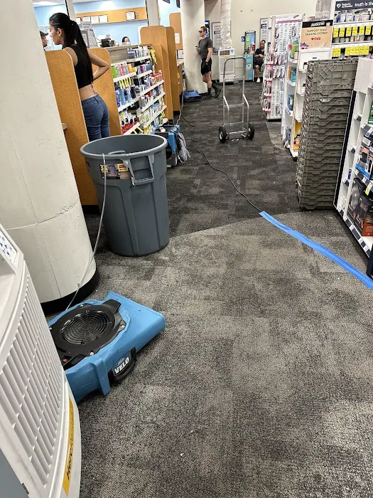 Rapid Response Restoration of Beverly Hills Picture 1