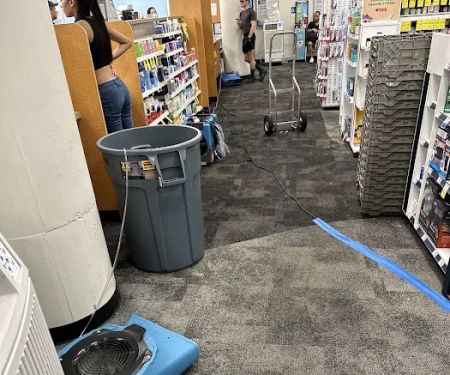 Rapid Response Restoration of Beverly Hills