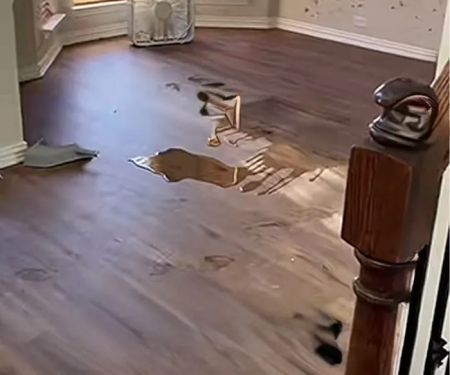 West Coast Beverly Hills CA