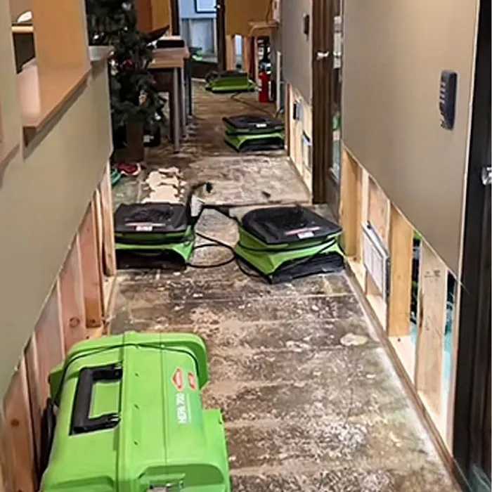 West Coast Beverly Hills CA Picture 4