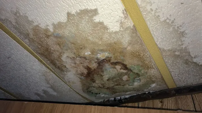 J&C Water Leak and Fire Cleanup Picture 2