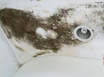 J&C Water Leak and Fire Cleanup Picture 3