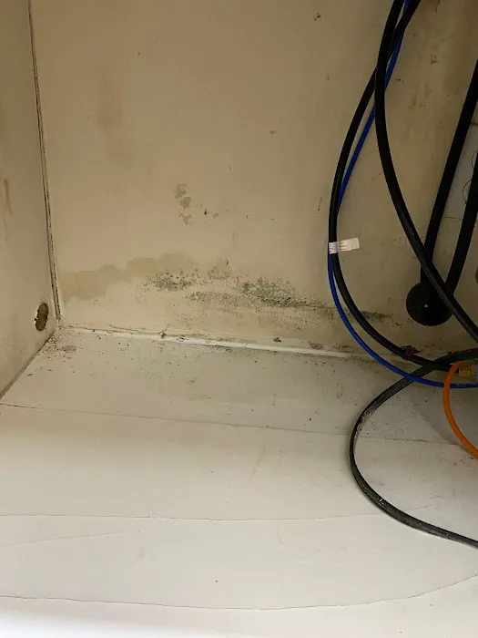 Rainbow Restoration of Arcadia Picture 5