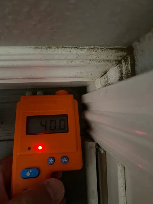 Rainbow Restoration of Arcadia Picture 10