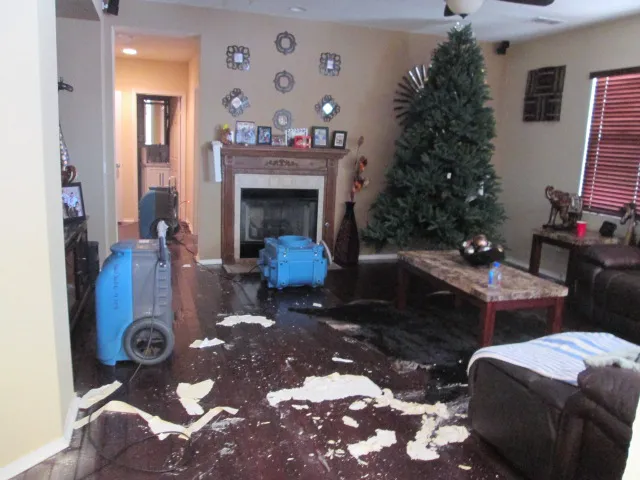 Super Lugus Restoration & Construction, Inc. Picture 3