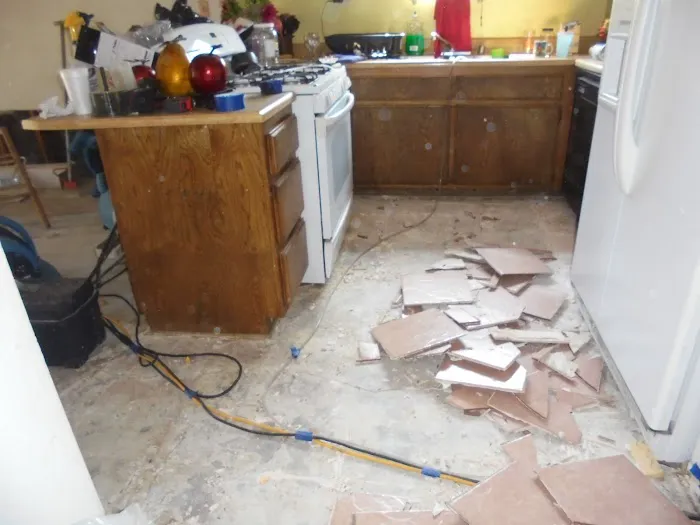 Super Lugus Restoration & Construction, Inc. Picture 9