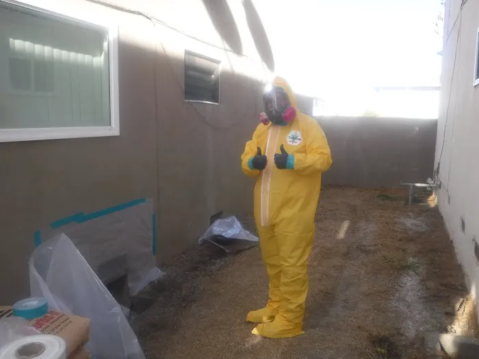 High Velocity Restoration Inc. Picture 2