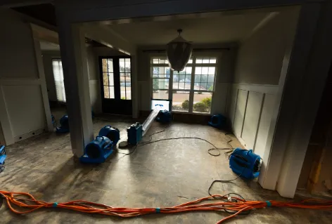 Kirkland Repair Picture 1