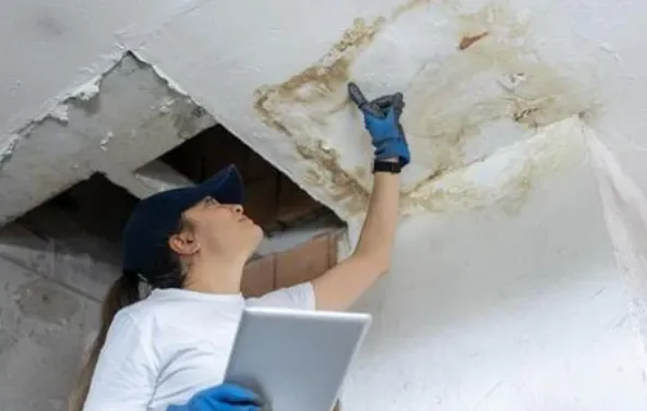 Water Damage Restoration Team-Burbank Picture 5