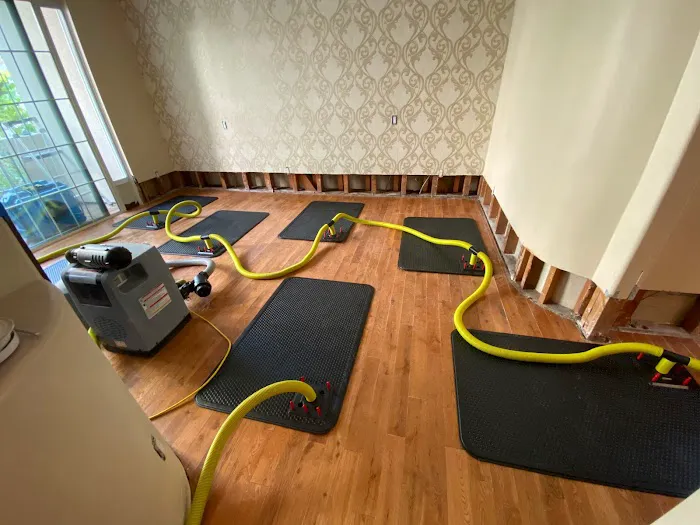 Water Damage & Mold by Drypro Picture 8