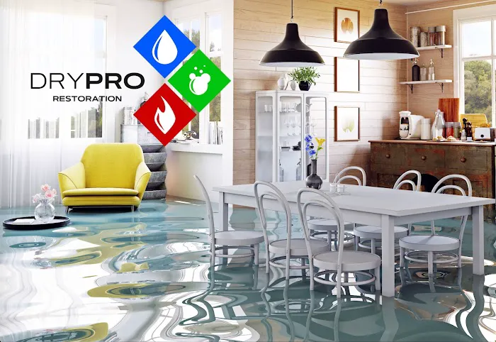 Water Damage & Mold by Drypro Picture 7