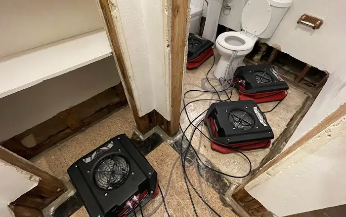 Water Damage & Mold by Drypro Picture 1