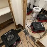 Water Damage & Mold by Drypro