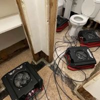 Water Damage & Mold by Drypro ico