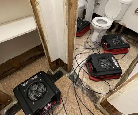 Water Damage & Mold by Drypro