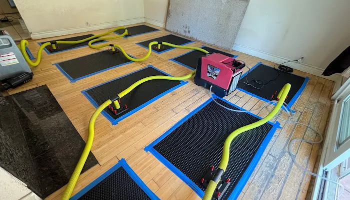 Water Damage & Mold by Drypro Picture 6