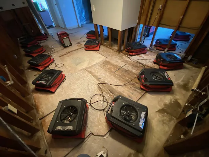 Water Damage & Mold by Drypro Picture 2