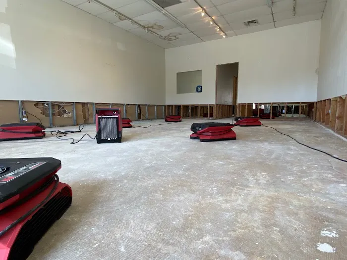 Water Damage & Mold by Drypro Picture 3