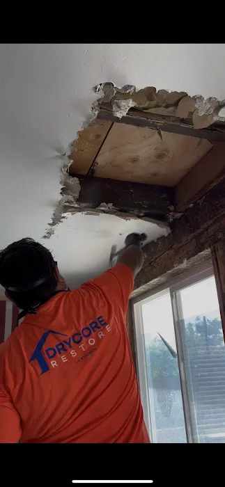 Drycore Restore Picture 1