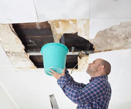 Mold Testing Solution's