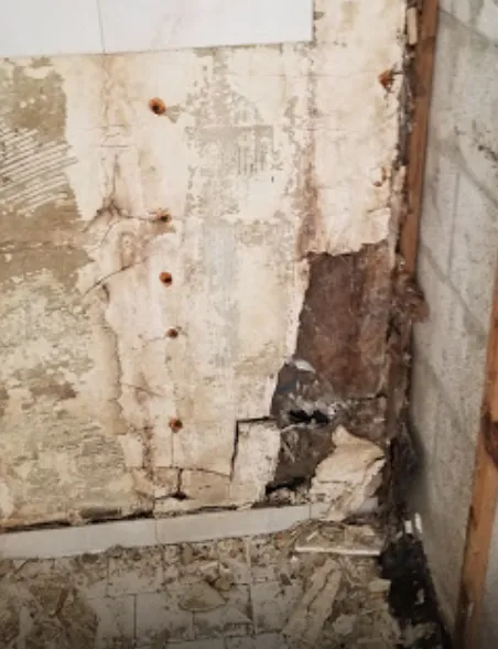 Mold Testing Solution's Picture 2