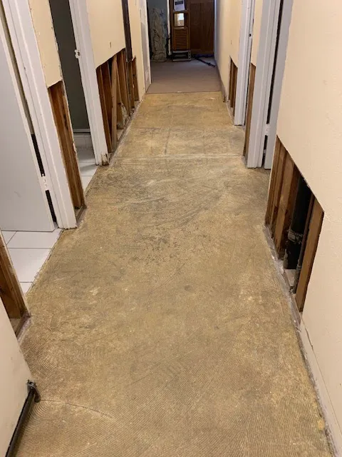 Act Fast Restoration Picture 4