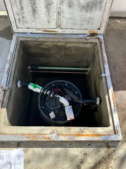 Act Fast Restoration Picture 5