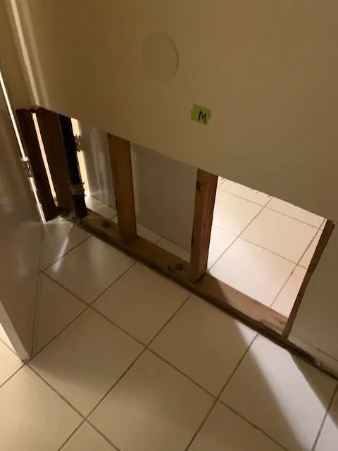 Act Fast Restoration Picture 2