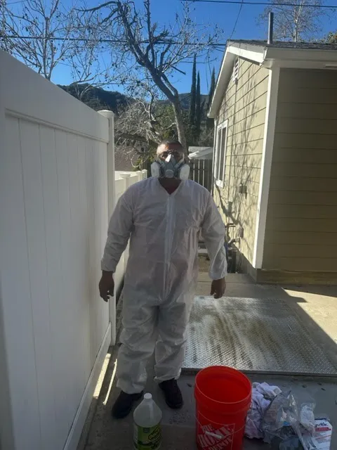 Act Fast Restoration Picture 7