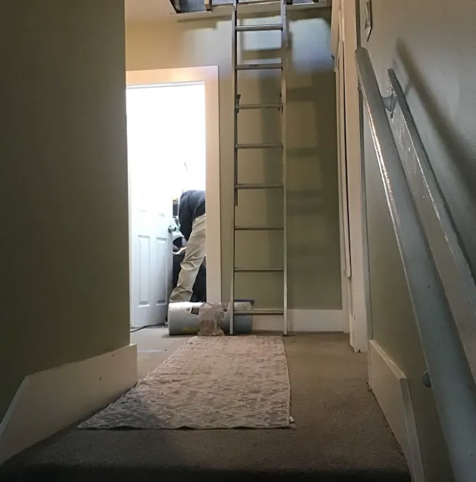 All In One Restoration and Construction Picture 3