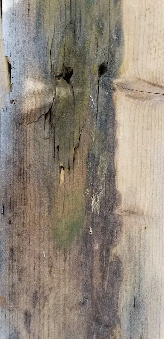 IN & OUT Water Damage Restoration Services Picture 6