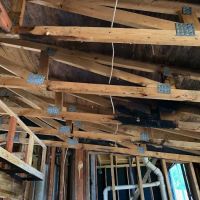 IN & OUT Water Damage Restoration Services ico