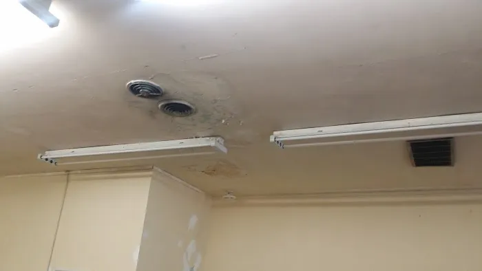 Prime Mold Inspections - Mold Detection Company Picture 1