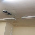 Prime Mold Inspections - Mold Detection Company