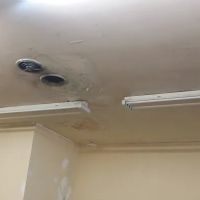 Prime Mold Inspections - Mold Detection Company ico