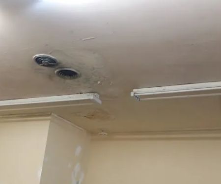 Prime Mold Inspections - Mold Detection Company